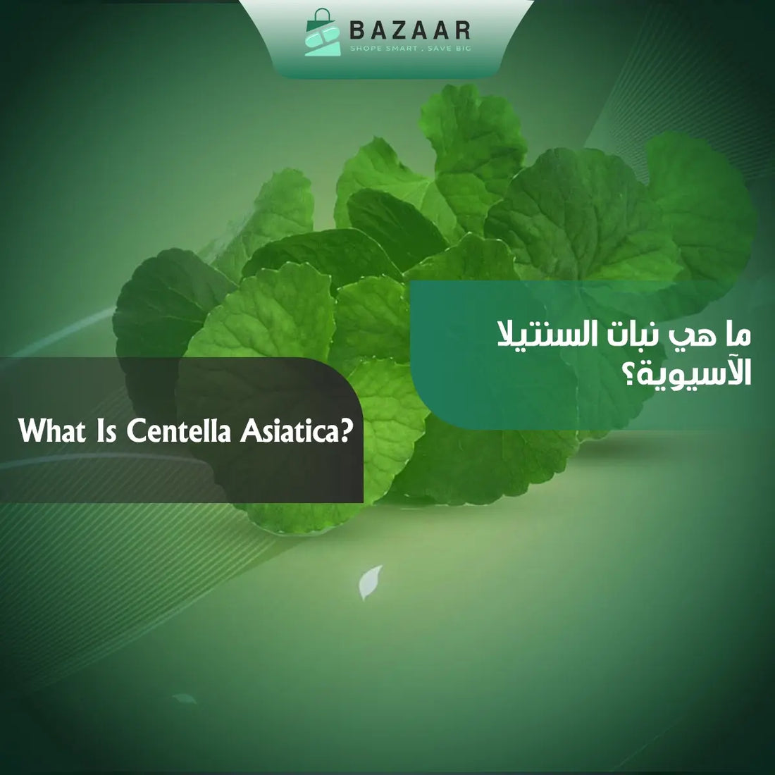 What Is Centella Asiatica?