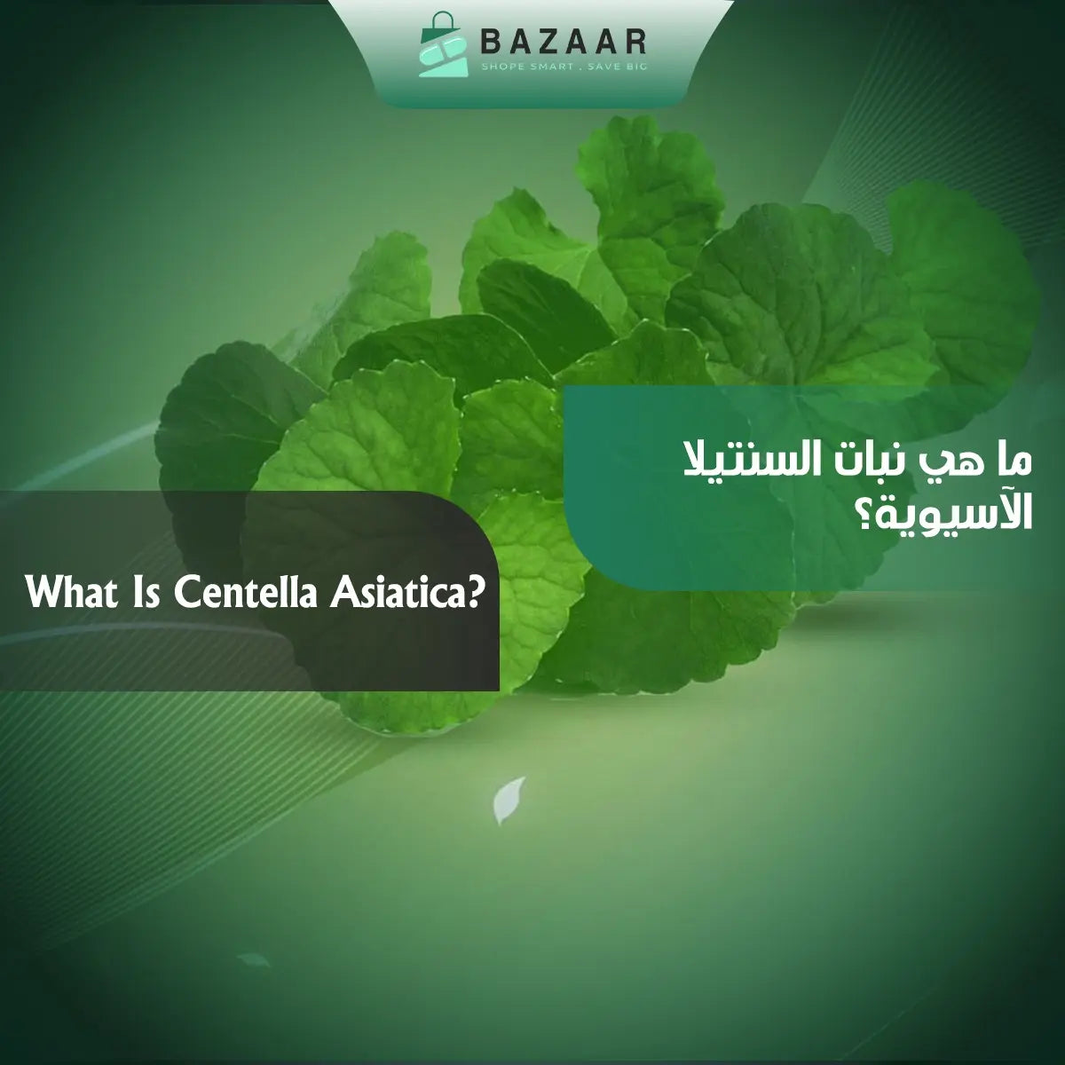 What Is Centella Asiatica?