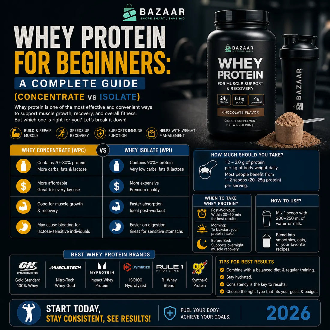 Whey Protein for Beginners: A Complete Guide (Concentrate vs Isolate)