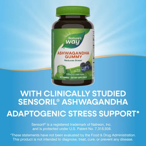 ALIVE ASHWAGNDHA 90 GUM