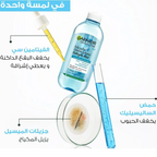 Garnier SkinActive Micellar Cleansing Water Salicylic Acid 400ml