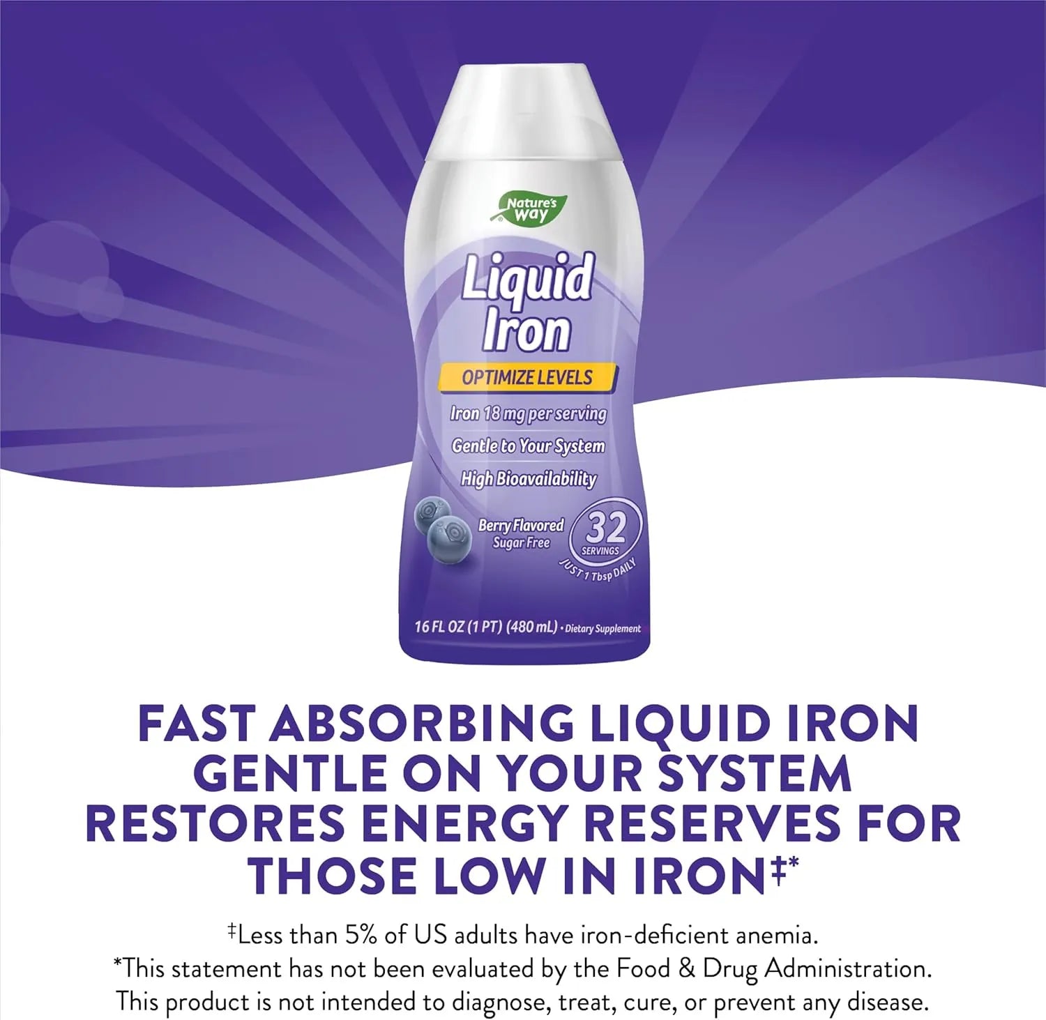 NATURE WAY IRON LIQUID 480ML