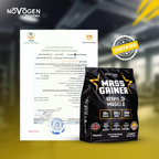 Novogen Mass Gainer 2.7KG -  Double Chocolate